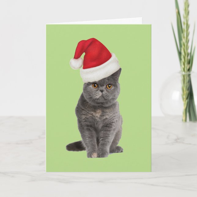 Cartão De Festividades kitty xmas card (Frente)