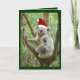 Cartão De Festividades Koala in Santa Hat Photo Christmas Card (Frente)
