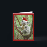 Cartão De Festividades Koala Santa Christmas Card<br><div class="desc">Koala Santa Christmas Card!  Customize - add your own wording inside if you like.

Questions? Regella@Rocketmail.com</div>