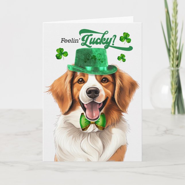 Cartão De Festividades Kooikerhondje Dog Feelin' Lucky Dia de São Patríci (Frente)