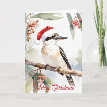 Kookaburra australiano chapéu de Papai Noel Feliz 