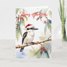 Kookaburra australiano chapéu de Papai Noel Natal 
