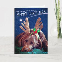 Cartão De Festividades Laboratório de Chocolate Sonhador Com Fotografia D