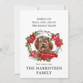 Cartão De Festividades Labradoodle Brown Watercolor Poinsettia Natal