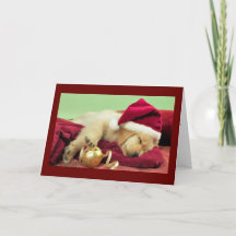 Labrador de Natal