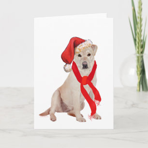 Cartão De Festividades Labrador Retriever Amarelo de Natal