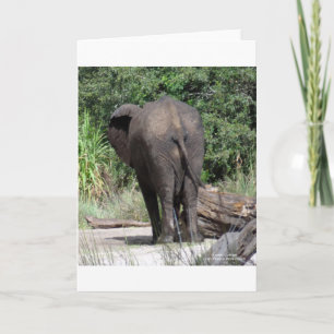 Cartão De Festividades Lado de trás do elefante