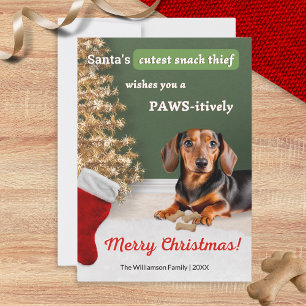 Cartão De Festividades Ladrão de Lanches de Cachorro Dachshund Engraçado 