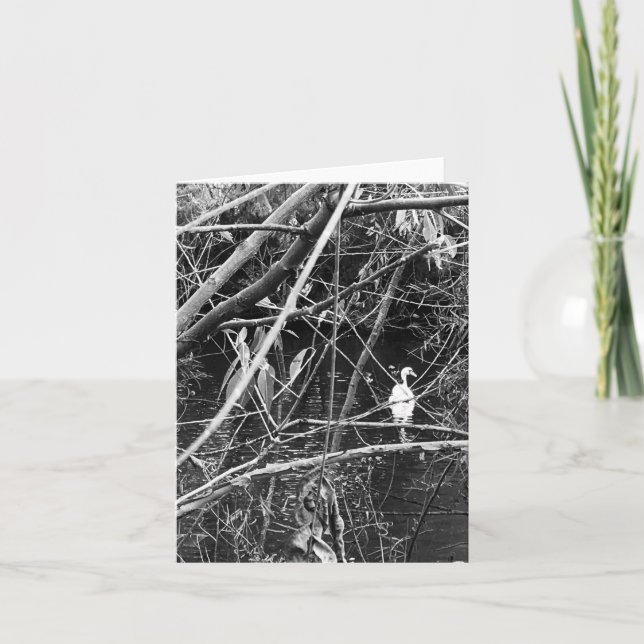 Cartão De Festividades lago george (Frente)