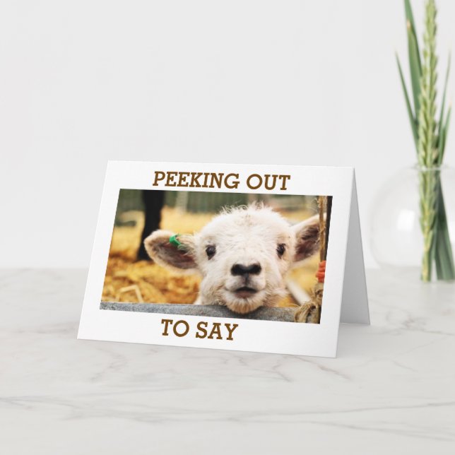 CARTÃO DE FESTIVIDADES LAMB DIZ "TENHA UM ANIVERSÁRIO MUITO FELIZ" (Frente)