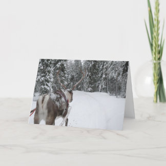 Cartão De Festividades Lapland Reindeer Christmas Card Photo Card