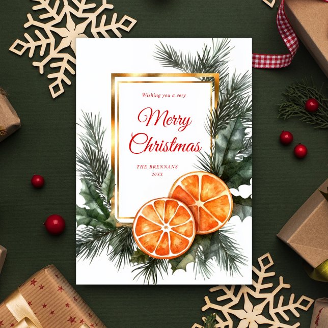 Cartão De Festividades Laranjas Secas de Natal Citrinos Festivos Legais (Christmas Dried Oranges Elegant Festive Citrus Holiday Card)