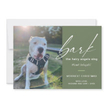 Latido De Cachorro Moderno Os Ângulos Láteos Canta