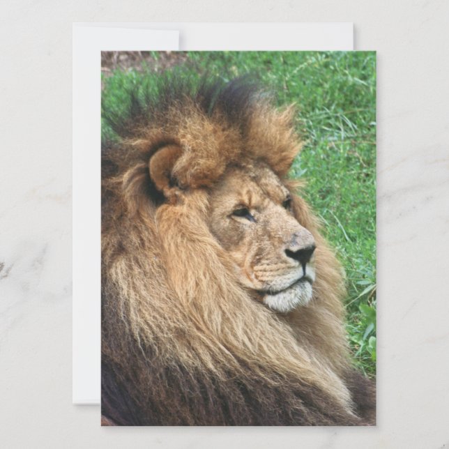 Cartão De Festividades Leão 001 (Frente)