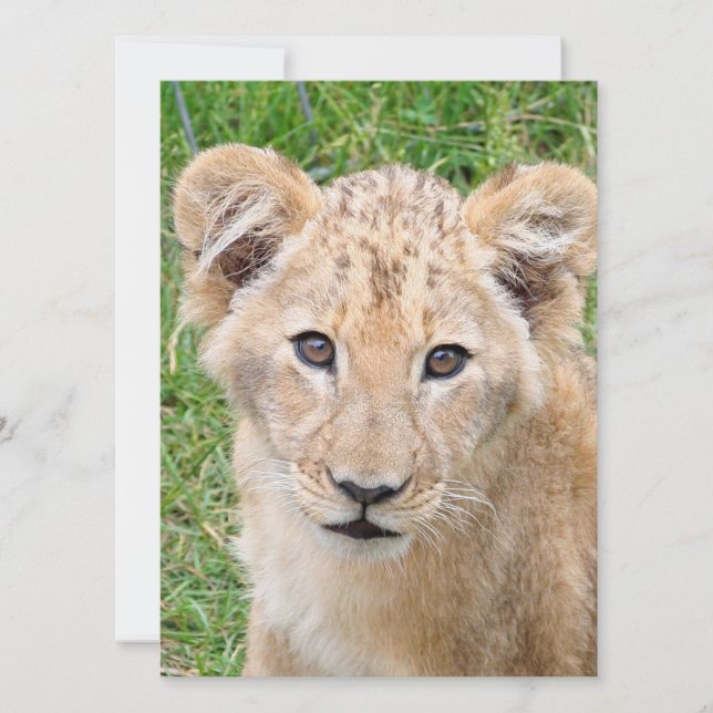 Cartão De Festividades Leão 016 (Frente)