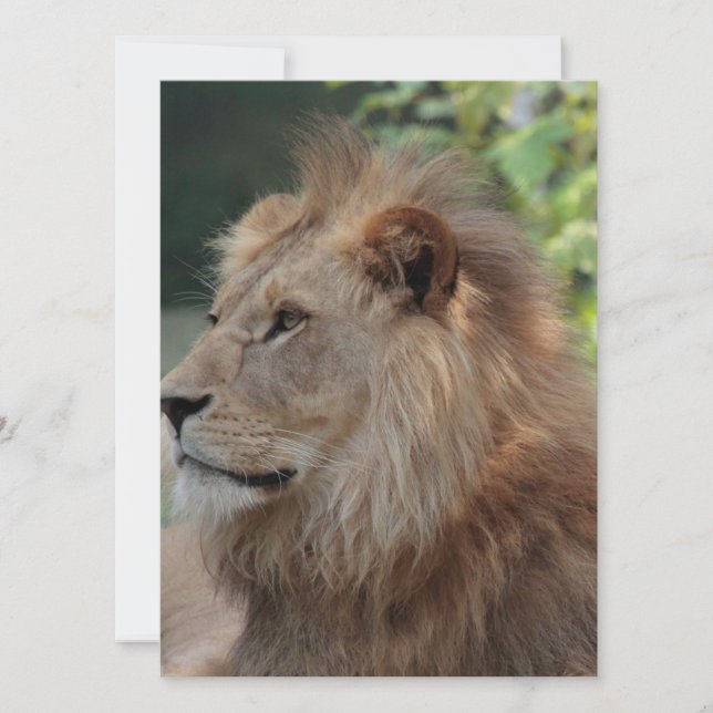 Cartão De Festividades Leão 035 (Frente)