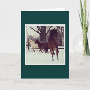 Cartão De Festividades Leaping Avery Holiday Card