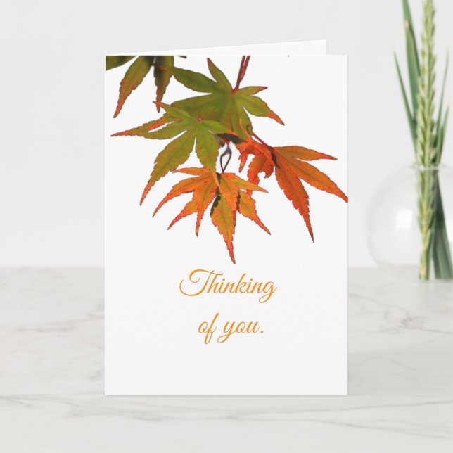 CARTÃO DE FESTIVIDADES LEAVES - BLANK, ALL-OCCASION CARD (Frente)
