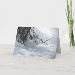 Cartão De Festividades Lebre-de-neve sob Arbusto na Neve