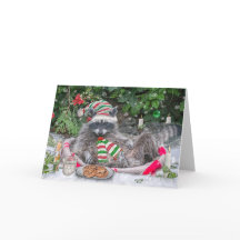 Leite de guaxinim e cookies