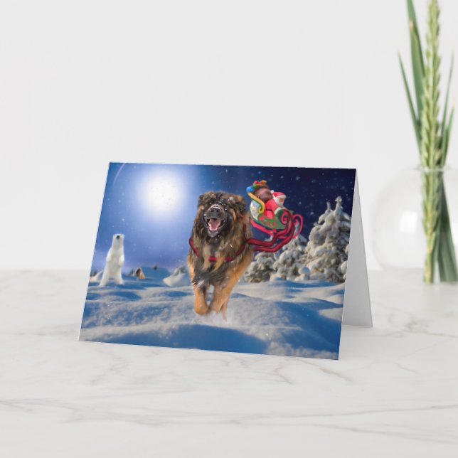 Cartão De Festividades Leonberger saves Santa! Folded Holiday Card (Frente)