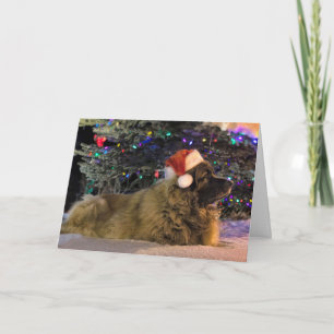 Cartão De Festividades Leonberger Sparkly Christmas Card