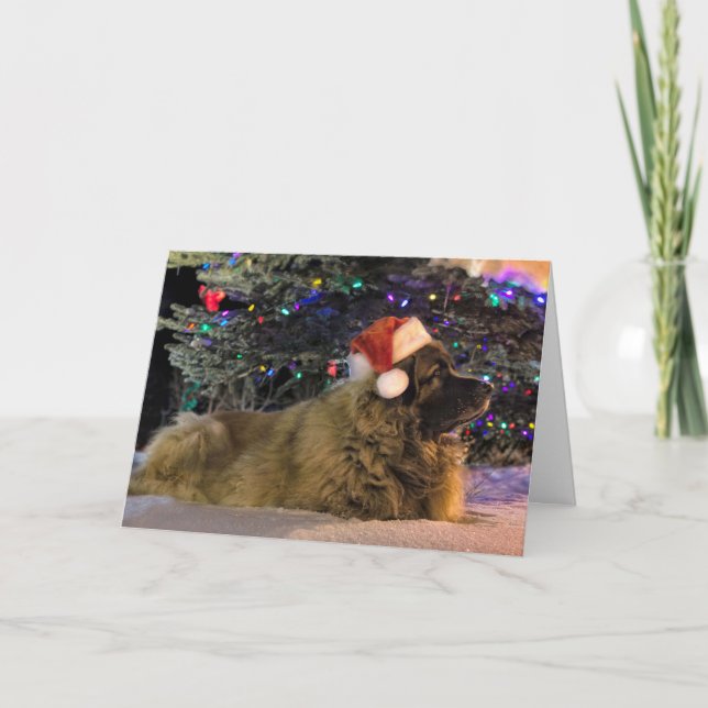Cartão De Festividades Leonberger Sparkly Christmas Card (Frente)