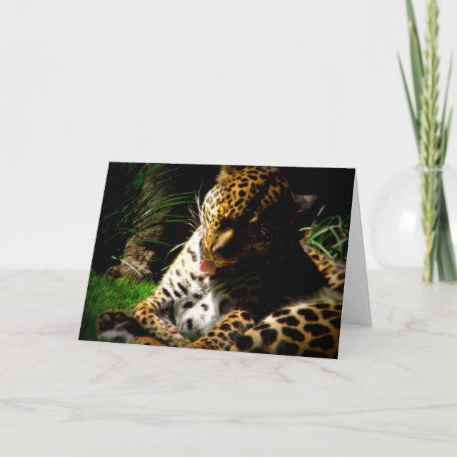 Cartão De Festividades Leopardo-balneário (Frente)