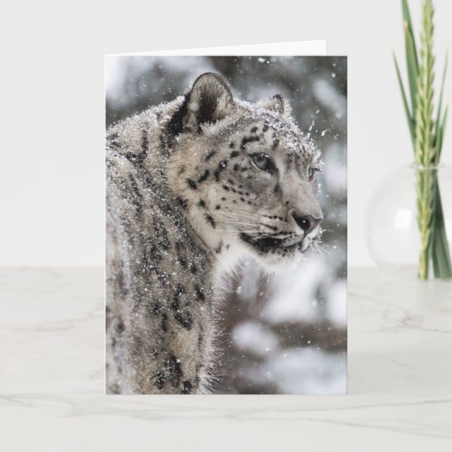 Cartão De Festividades Leopardo-da-neve na neve (Frente)