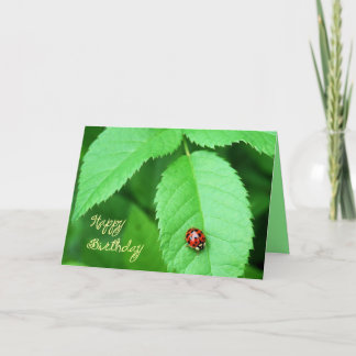Cartão De Festividades Life's Simple Pleasures-ladybug