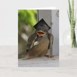 Cartão De Festividades Lil Birdie, Feliz Pássaro Sorriso, Graduação