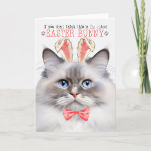Cartão De Festividades Lilic Point Ragdoll Cutest Easter Bunny Gatinho Pu