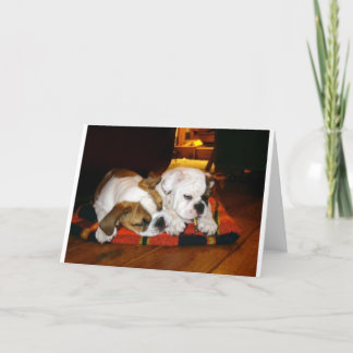 Cartão De Festividades Lily e Ziggy Holiday Pose