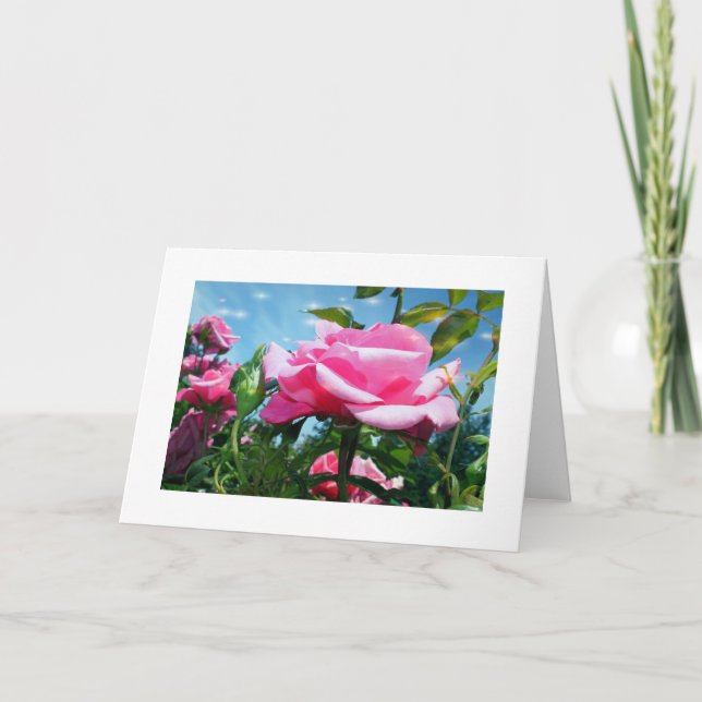 Cartão De Festividades Linda rosa rosa rosa no céu azul. Fotografia flora (Frente)