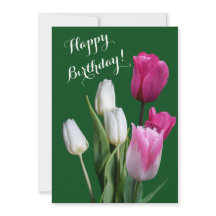 Lindas tulipas cor-de-rosa floral feliz aniversári