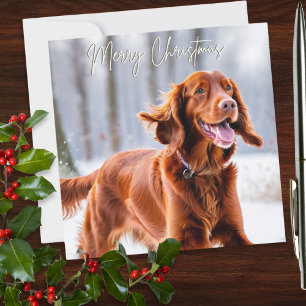 Cartão De Festividades Lindo Cão da Raça Setter Vermelho Irlandês Natal