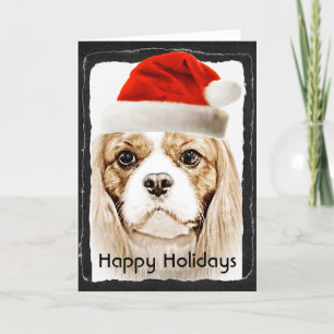 Cartão De Festividades Lindo Cavalier King Charles Spaniel