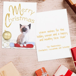 Cartão De Festividades Lindo Enfeite Dourado de Natal de Gatinho Siamês