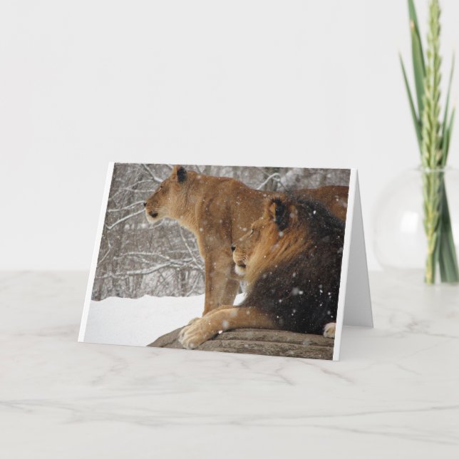 Cartão De Festividades Lions (Frente)