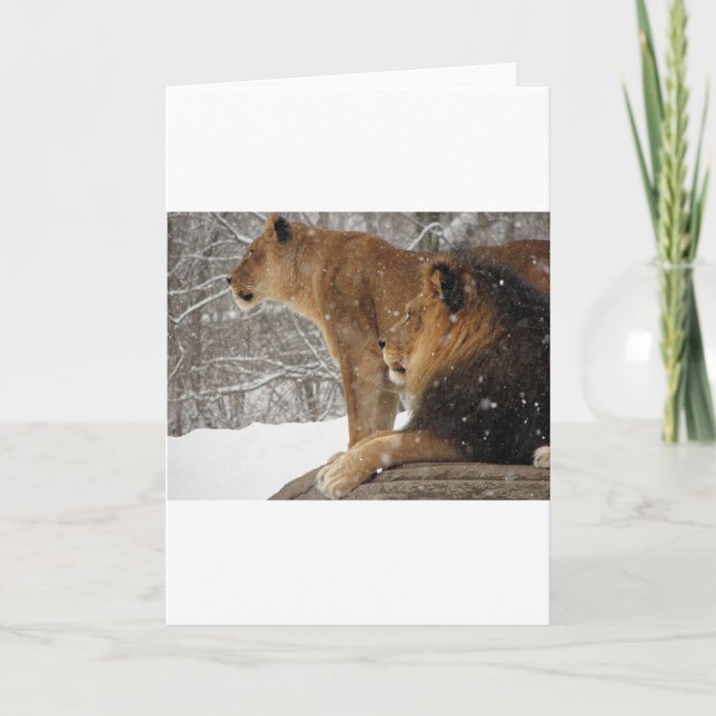 Cartão De Festividades Lions (Frente)