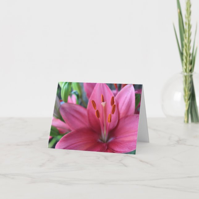 Cartão De Festividades Lírio Rosa Stargazer no Jardim  (Frente)