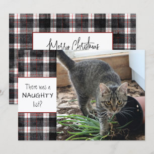 Cartão De Festividades Lista de Travessos Foto de Gato Xadrez Natal