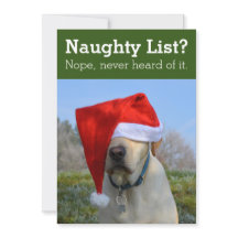 Lista Travessa? Não, nunca ouvi falar foto engraça