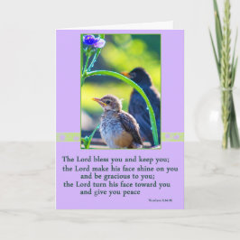 Cartão De Festividades Little Bird Easter Card