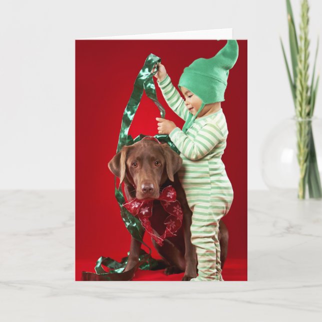 Cartão De Festividades Little boy decorating a dog (Frente)