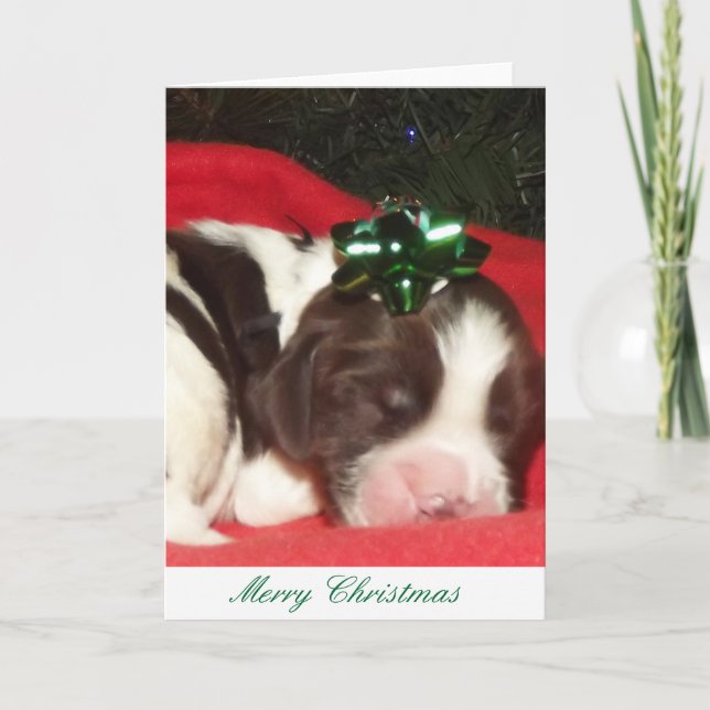 Cartão De Festividades Liver and white sleeping English Springer Spaniel (Frente)