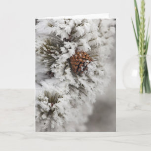 Cartão De Festividades Lodgepole Pine cone in winter in Yellowstone