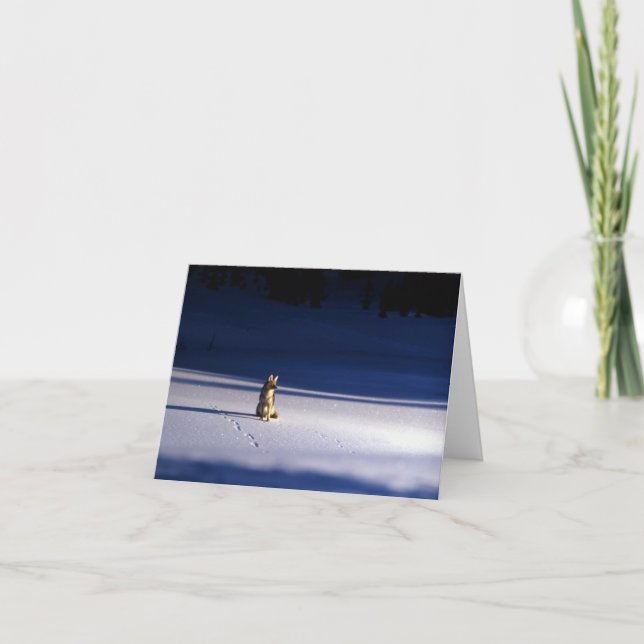 Cartão De Festividades Lone Coyote em Neve, Parque Nacional Yellowstone (Frente)