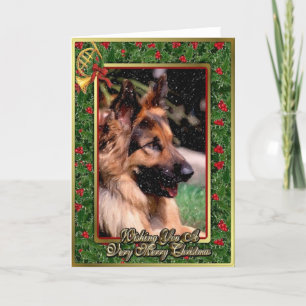 Cartão De Festividades Long Haired German Shepherd Dog Christmas Card