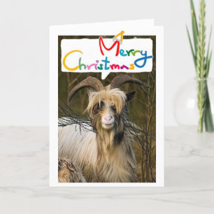 CARTÃO DE FESTIVIDADES LONGHAIRD GOAT DIZ NATAL MELHOR COM VOCÊ!
